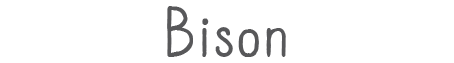 Bison