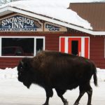 buffalo-slide