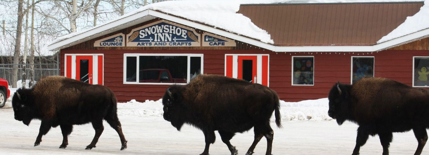 Snowshoe Inn Buffalo