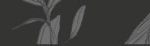 footer-trees